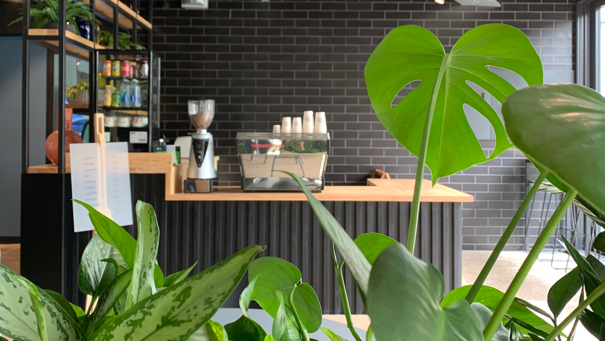 Miles Coffee interior