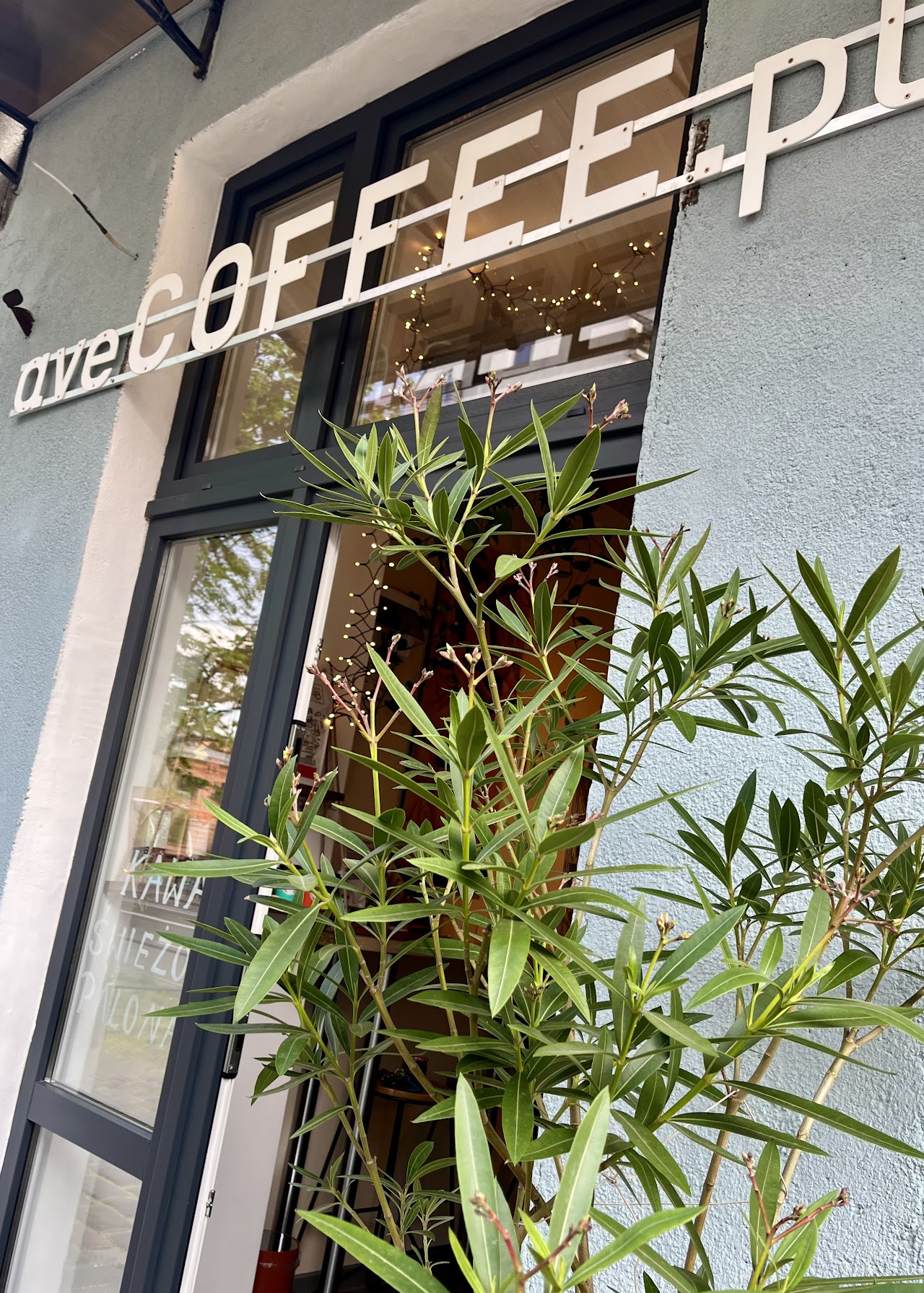 Ave Coffee Speciality interior