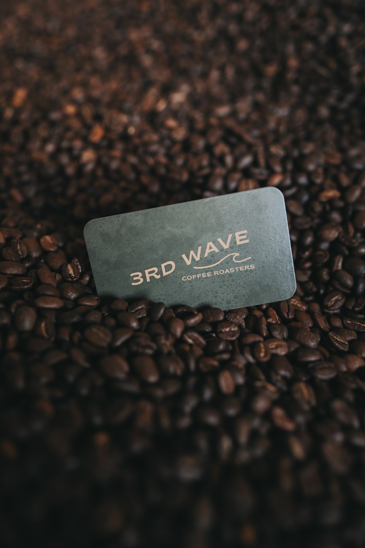 3rd Wave Coffee Roasters interior